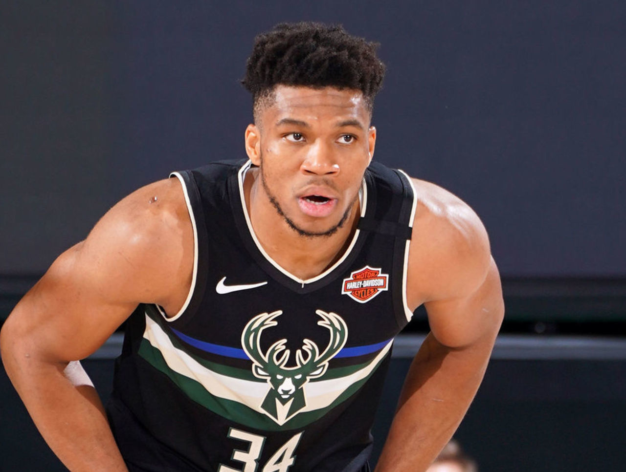 高芙与巴多 高芙与巴多