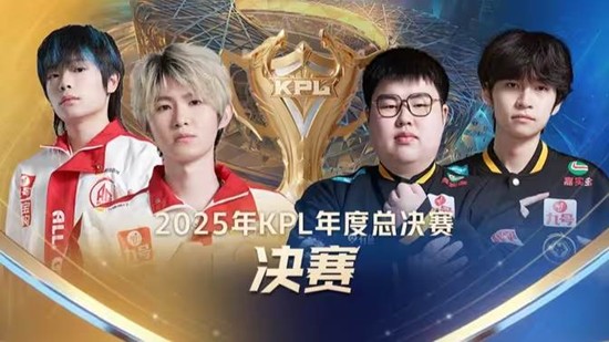 球员的职业 球员的职业